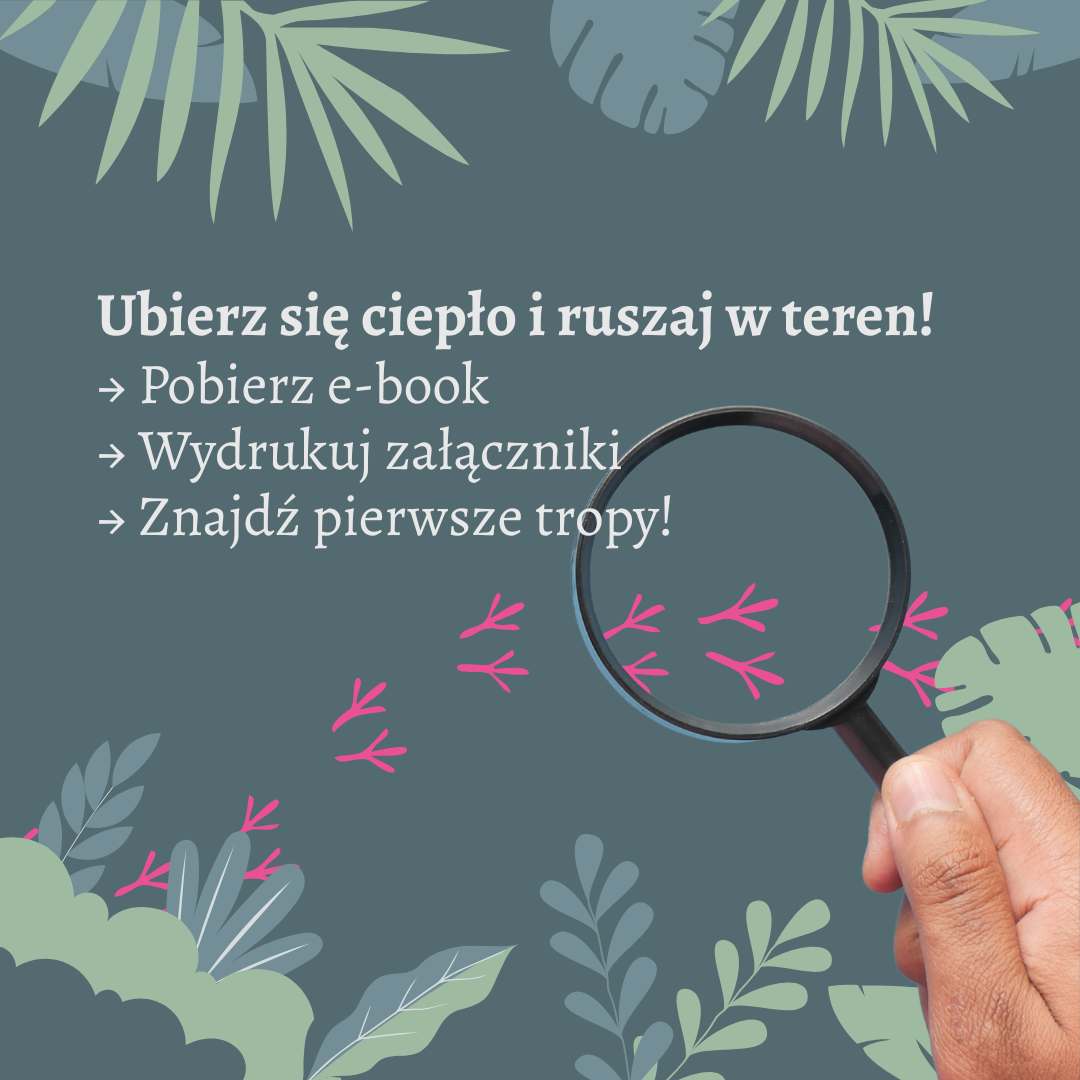 Jak zorganizować wyprawę tropiciela - ebook - obrazek 8