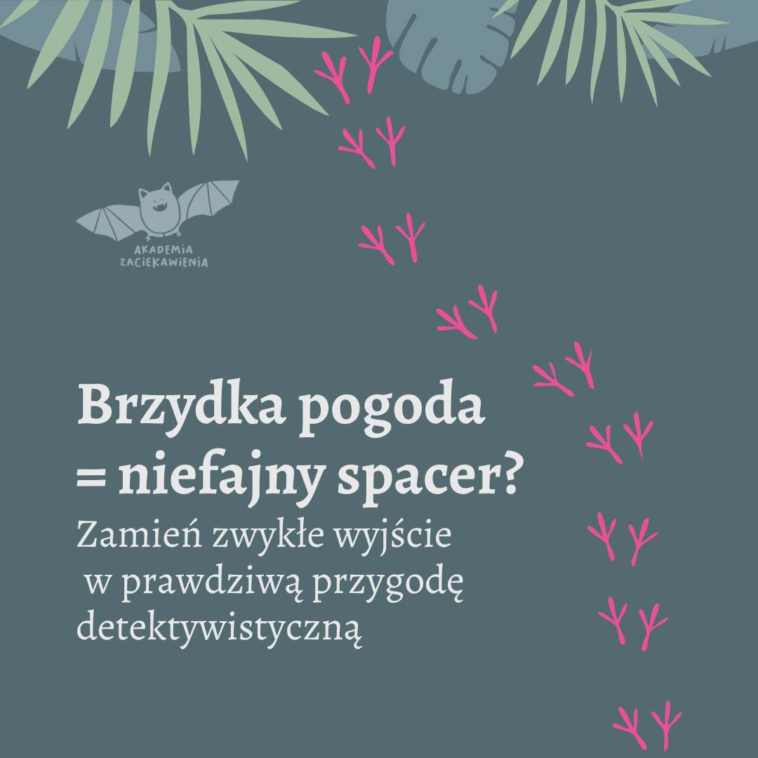 Jak zorganizować wyprawę tropiciela - ebook - obrazek 2