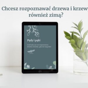 Pędy i pąki, czyli jak rozpoznawać drzewa i krzewy w stanie bezlistnym - ebook